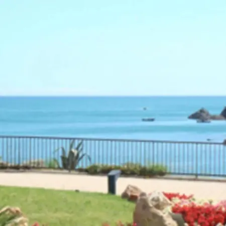 Terrasse Vue Collioure